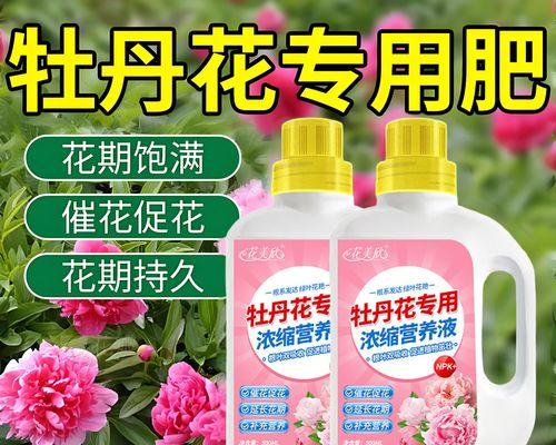 如何为牡丹花添加枝叶肥料？正确的施肥步骤是什么？