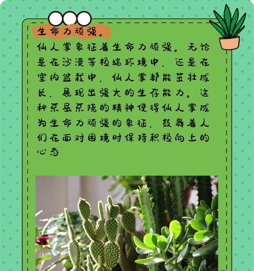 寝室养殖仙人掌的注意事项是什么？