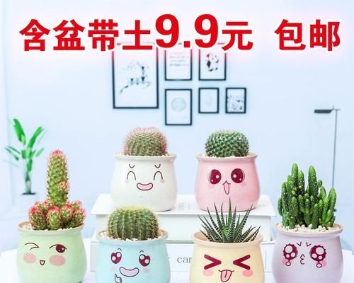 仙人球分盆的必要性是什么？分盆后如何促进仙人球开花？