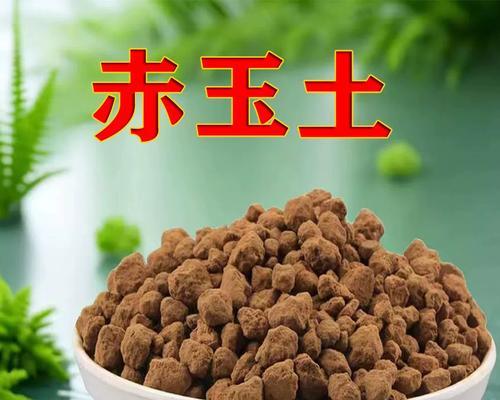 君子兰营养球的种植方法是什么？