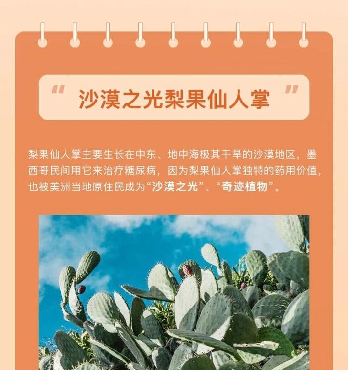 梨果树桩仙人掌如何养护才能开花？需要注意什么？