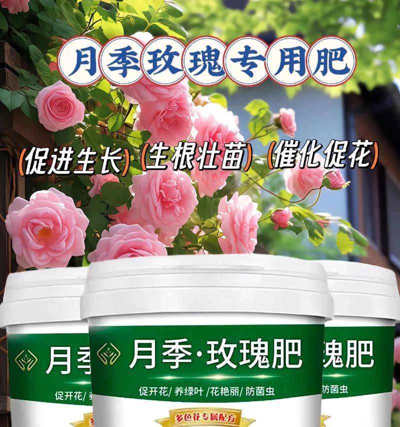 玫瑰花催花苞肥料使用方法是什么？