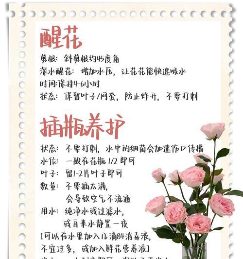 玫瑰花催花苞肥料使用方法是什么？