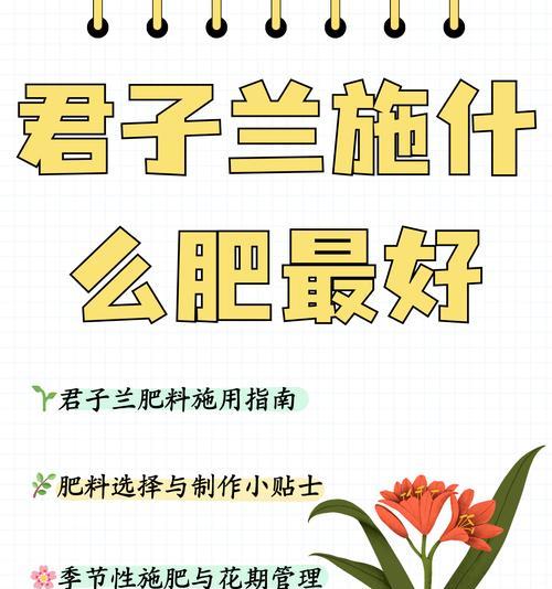 君子兰不开花时应施哪种肥料？