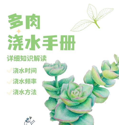 仙人掌在18度左右的温度下如何浇水？浇水频率是多少？