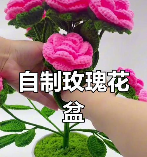 玫瑰花小盆栽钩织技巧有哪些？钩织过程中应注意什么？