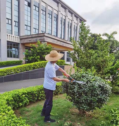 黑魔龙仙人球的养殖难度如何？正确的养护方法是什么？