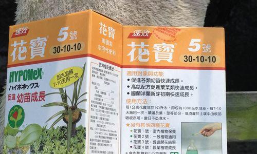 君子兰速效开花素的使用方法是什么？有哪些注意事项？
