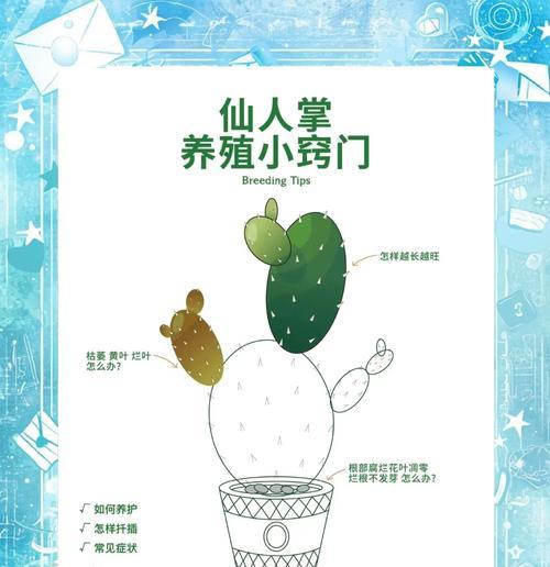 大仙人掌老桩的养护管理技巧？