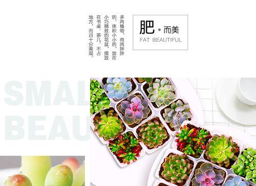 大仙人掌老桩的养护管理技巧？