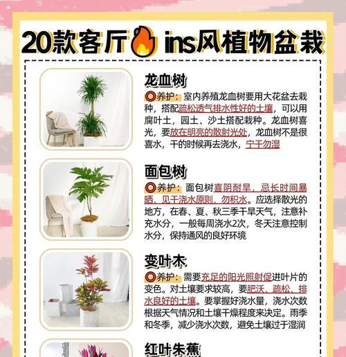 如何快速养活仙人掌苗子？