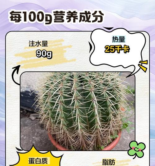 仙人球插枝方法及存活秘诀？