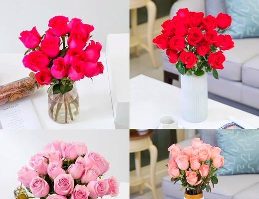 哪种玫瑰花品种最为肥硕？