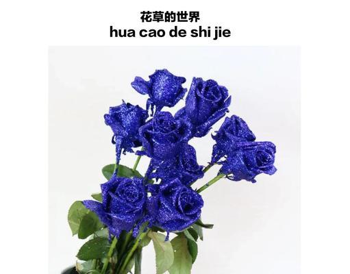 玫瑰花植物标牌上应该写什么？
