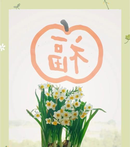 水植物仙人球的养护管理技巧有哪些？如何正确养护水培仙人球？