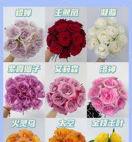 哪些玫瑰花品种不会被淘汰？它们有何特点？