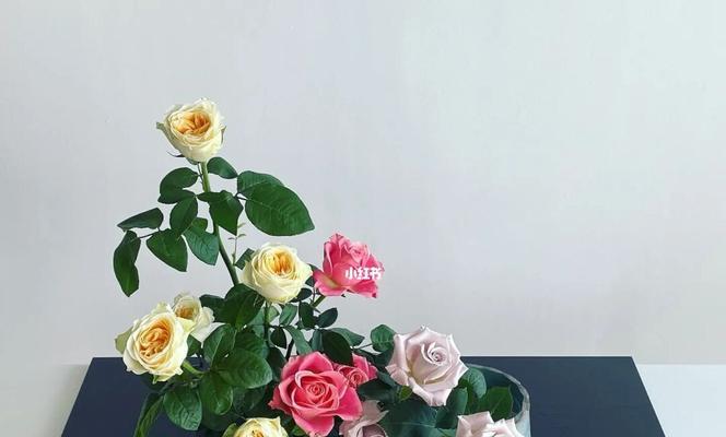 家用插花玫瑰花的养护技巧有哪些？