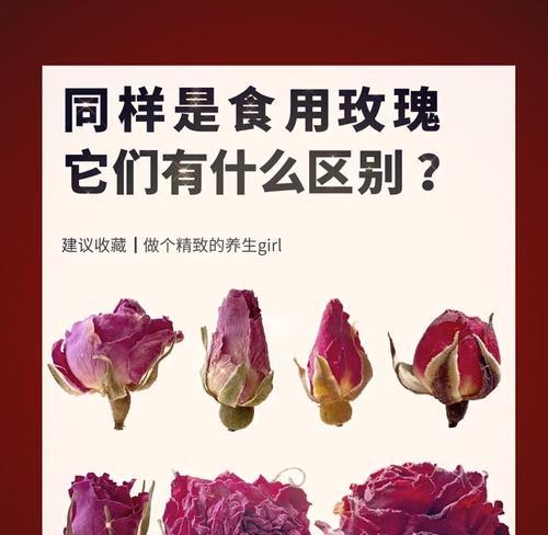 哪种食用玫瑰花品种产量最高？
