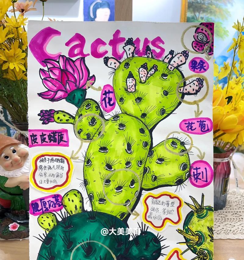 仙人掌的养护技巧有哪些？