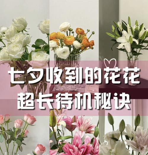 如何延长玫瑰花的花期？
