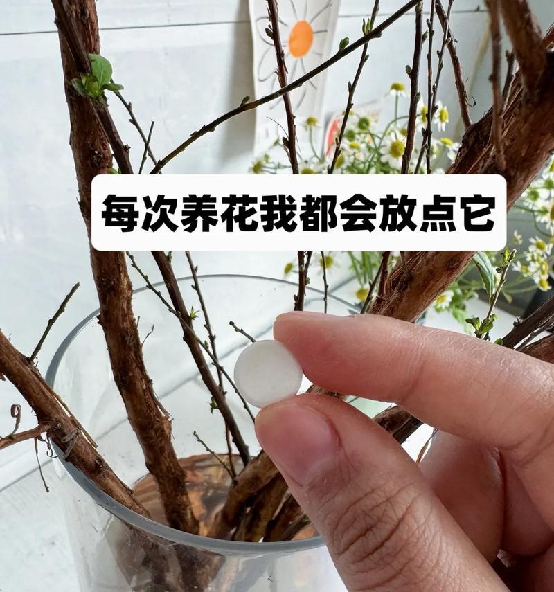 如何延长玫瑰花的花期？
