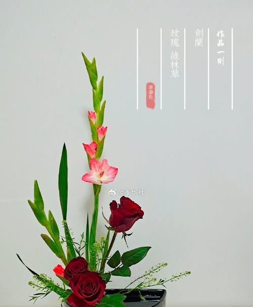 玫瑰花插花技巧有哪些？
