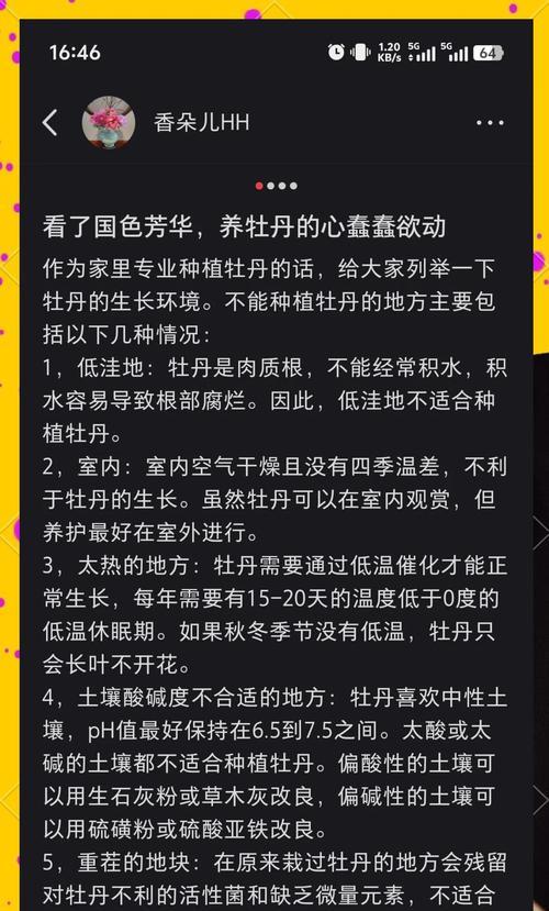 牡丹花浇水的正确方法是什么？