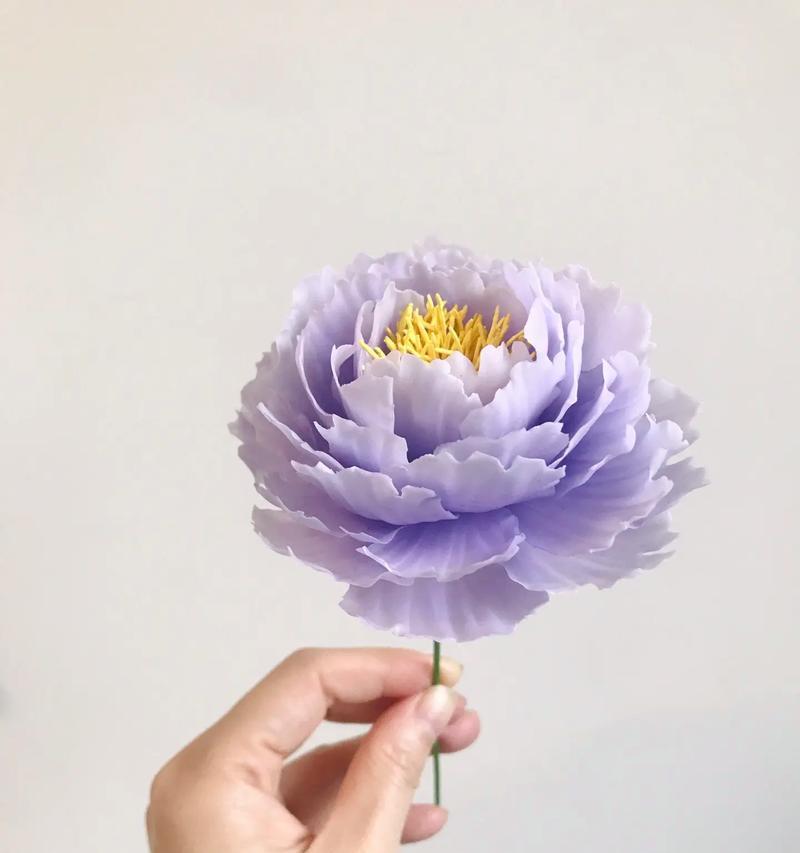 牡丹花浇水的正确方法是什么？