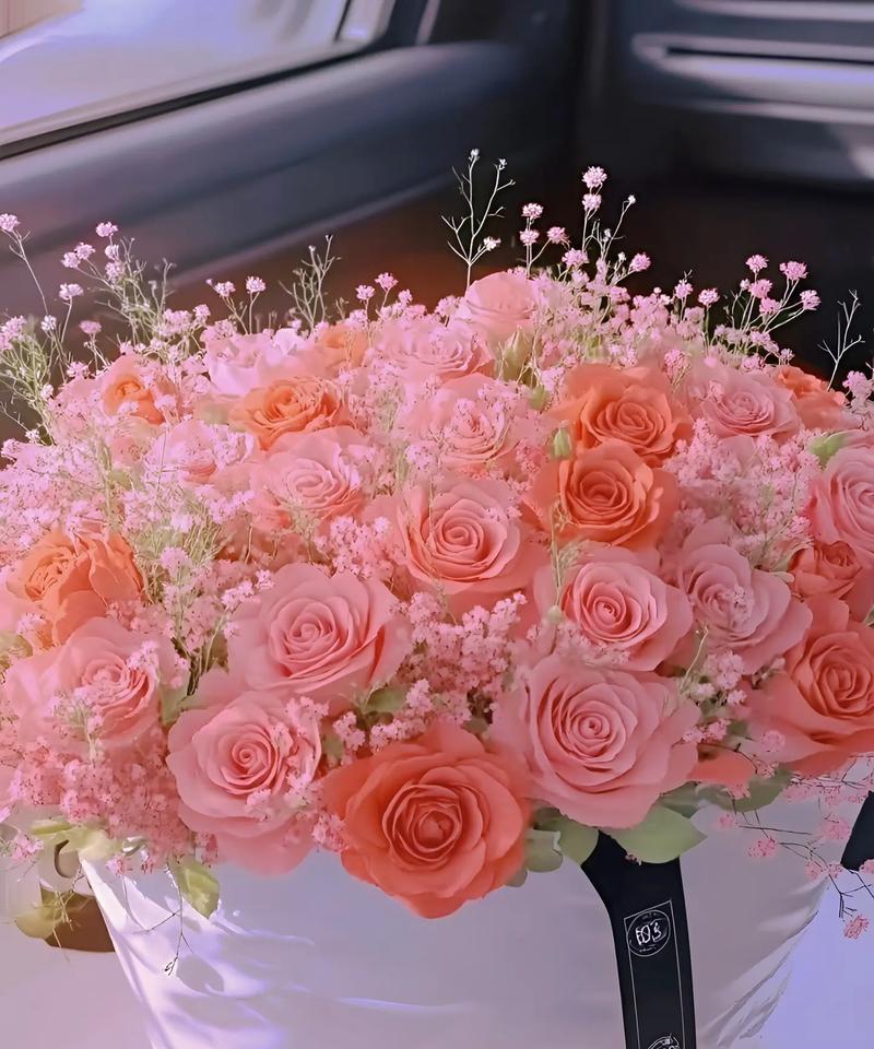哪种花代表开心和快乐？它的花语是什么？