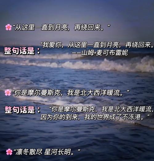 很隐晦的花语代表什么含义？