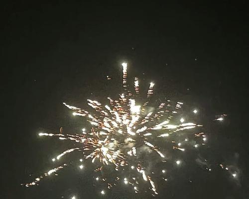 四季花语中20块烟花的含义是什么？