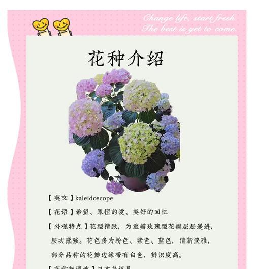 花语的起源是什么？它的历史背景有何故事？