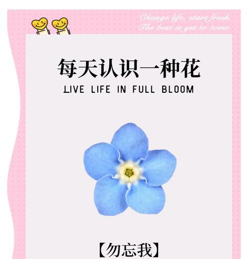 花语的起源是什么？它的历史背景有何故事？