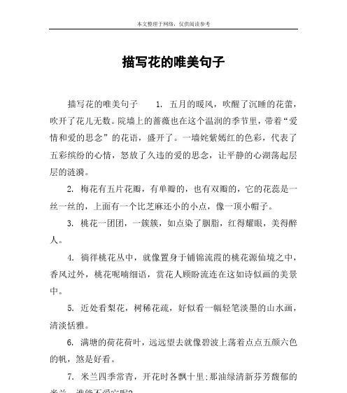 野花与蔷薇花语有何不同？它代表了什么？