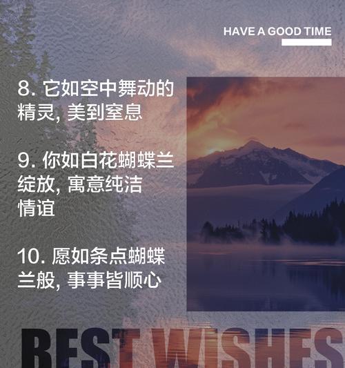 蝴蝶兰的花语是什么？它象征着怎样的情感？