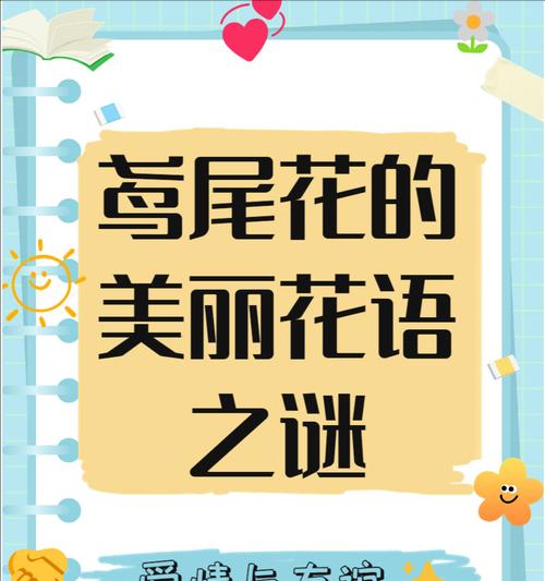 道具美丽的花语是什么花？如何表达爱意？