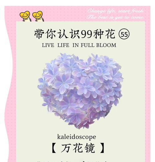 道具美丽的花语是什么花？如何表达爱意？