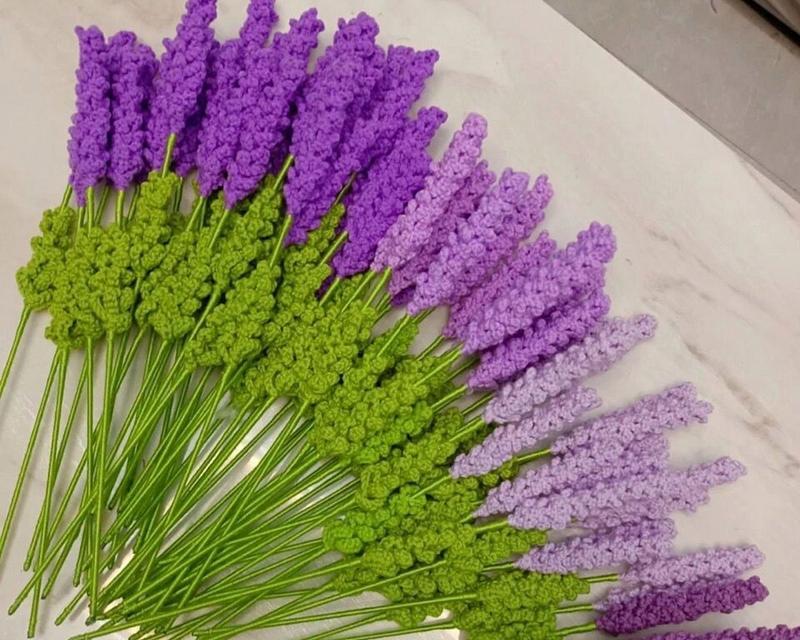 薰衣草花语与数字947有何关联？