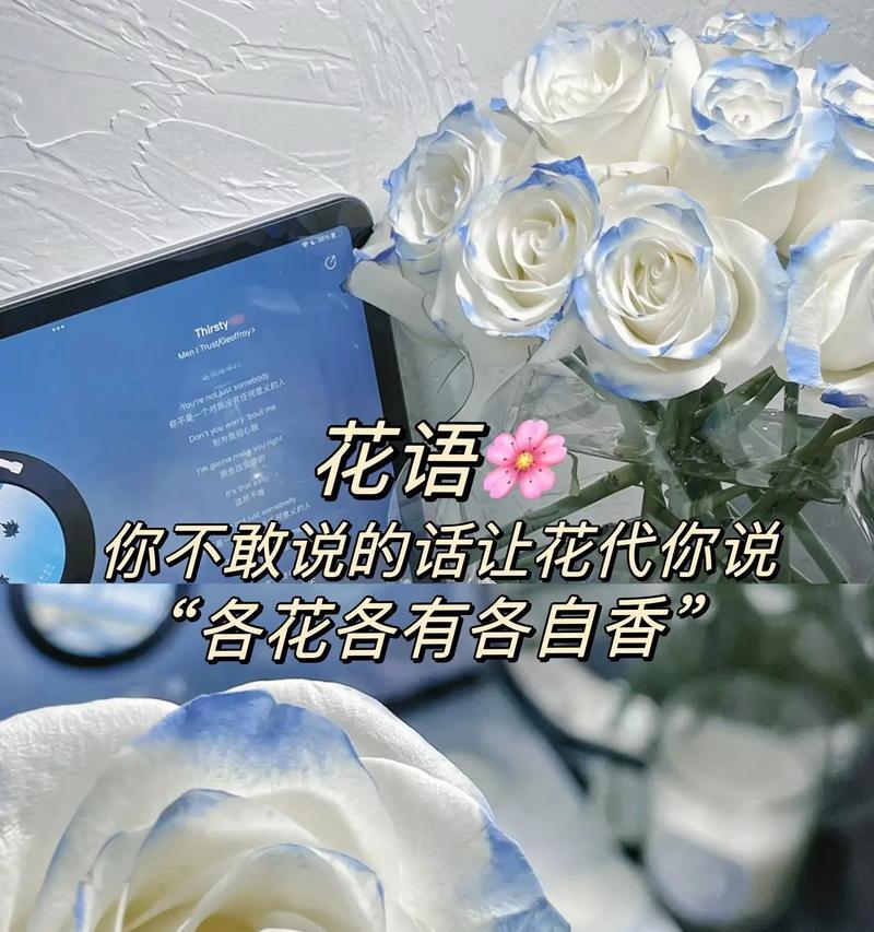 比较搞笑的花语是什么？哪些花语让人忍俊不禁？