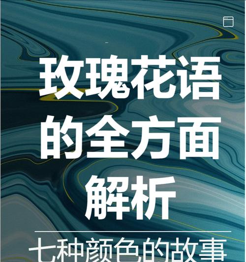 酒红玫瑰的花语寓意有何不同？