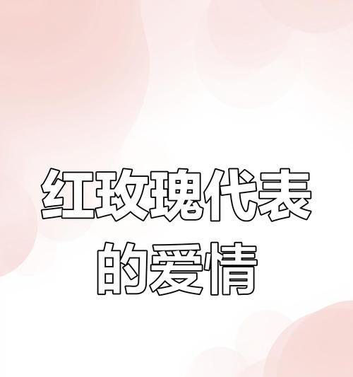 酒红玫瑰的花语寓意有何不同？