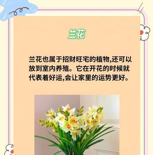 九种绿植的寓意和花语分别是什么？它们各自有何特点？
