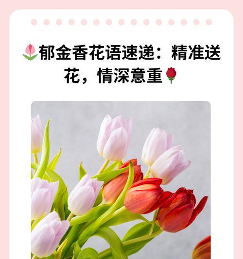 花语传递爱意，孩子能理解吗？