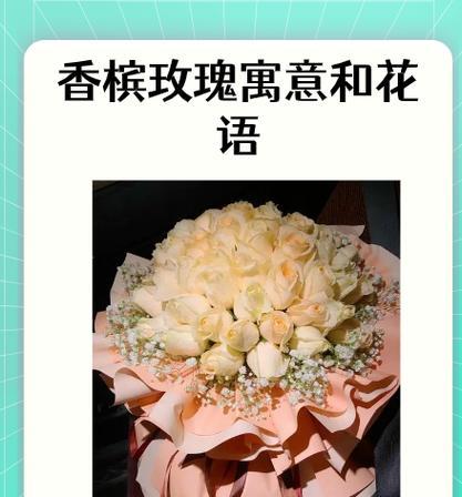 雪花玫瑰的花语有哪些好听的？