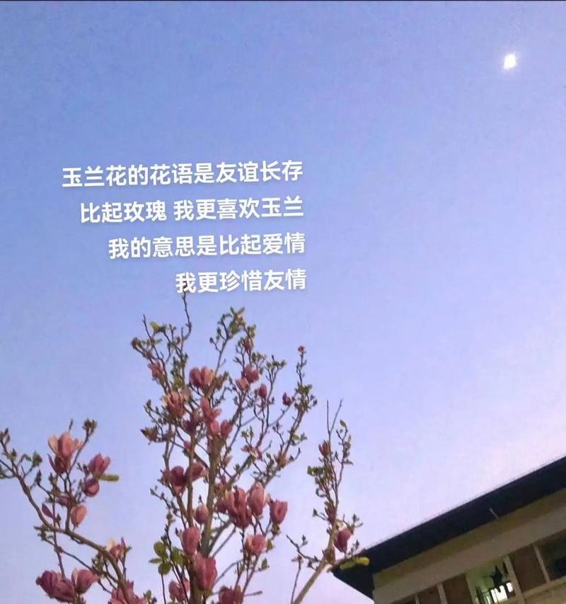 如何用花语评论朋友？哪种花代表友情的评论？