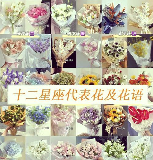 长大花语玫瑰指的是哪种花？花语有何含义？