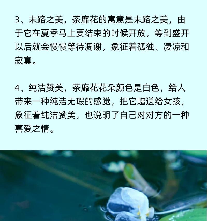 有生花的花语具体是什么？