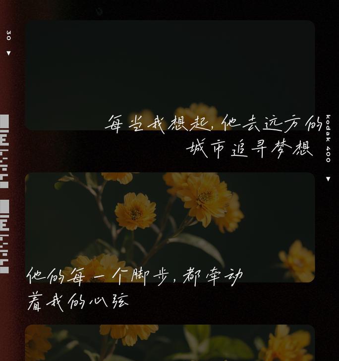 惦记别家的花语代表什么情感？