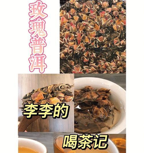 五朵山茶的花语代表什么？