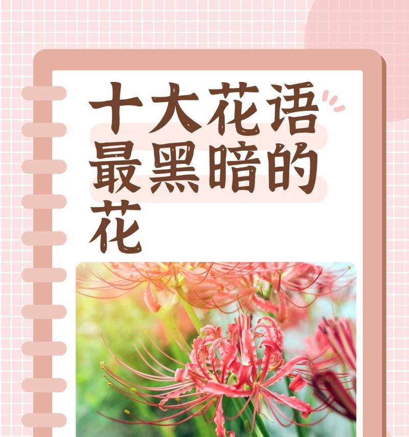 为什么每种花朵都有独特的花语？花语的起源是什么？
